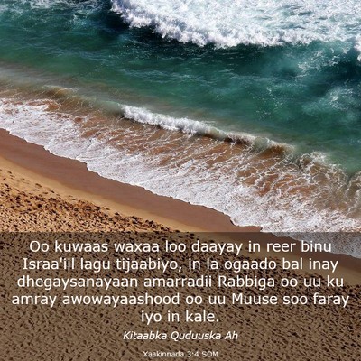 Picture 03 - Xaakinnada 3:4 SOM - Oo kuwaas waxaa loo daayay in reer binu Israa'iil - Bible Verse Picture
