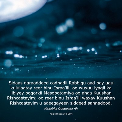 Picture 03 - Xaakinnada 3:8 SOM - Sidaas daraaddeed cadhadii Rabbigu aad bay ugu - Bible Verse Picture