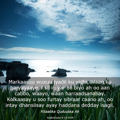 Picture 03 - Xaakinnada 4:19 SOM - Markaasuu wuxuu iyadii ku yidhi, Waan ku - Bible Verse Picture