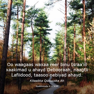Picture 03 - Xaakinnada 4:4 SOM - Oo waagaas waxaa reer binu Israa'iil xaakimad u - Bible Verse Picture