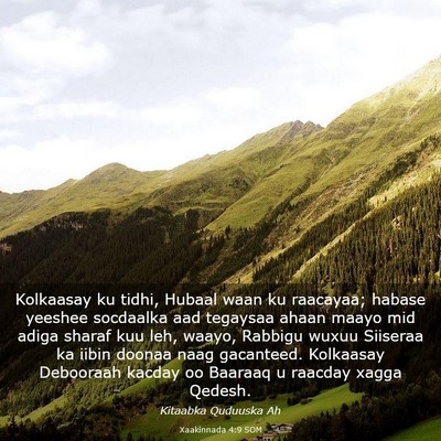 Picture 03 - Xaakinnada 4:9 SOM - Kolkaasay ku tidhi, Hubaal waan ku raacayaa; - Bible Verse Picture