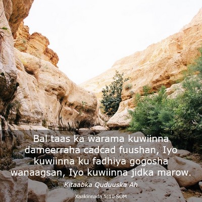 Picture 03 - Xaakinnada 5:10 SOM - Bal taas ka warama kuwiinna dameerraha cadcad - Bible Verse Picture