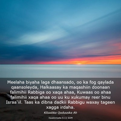 Picture 03 - Xaakinnada 5:11 SOM - Meelaha biyaha laga dhaansado, oo ka fog qaylada - Bible Verse Picture