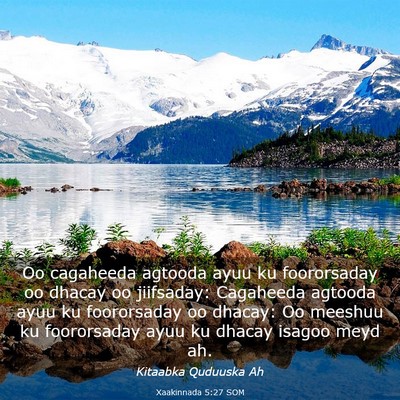 Picture 03 - Xaakinnada 5:27 SOM - Oo cagaheeda agtooda ayuu ku foororsaday oo - Bible Verse Picture