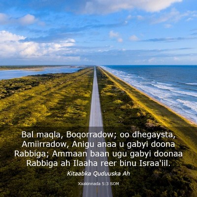Picture 03 - Xaakinnada 5:3 SOM - Bal maqla, Boqorradow; oo dhegaysta, Amiirradow, - Bible Verse Picture