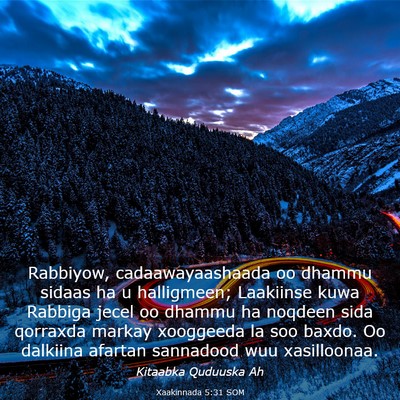 Picture 03 - Xaakinnada 5:31 SOM - Rabbiyow, cadaawayaashaada oo dhammu sidaas ha u - Bible Verse Picture