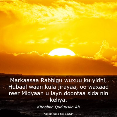 Picture 03 - Xaakinnada 6:16 SOM - Markaasaa Rabbigu wuxuu ku yidhi, Hubaal waan - Bible Verse Picture