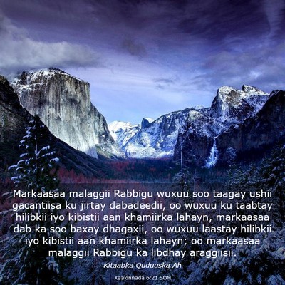 Picture 03 - Xaakinnada 6:21 SOM - Markaasaa malaggii Rabbigu wuxuu soo taagay ushii - Bible Verse Picture