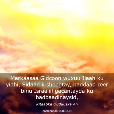 Picture 03 - Xaakinnada 6:36 SOM - Markaasaa Gidcoon wuxuu Ilaah ku yidhi, Sidaad ii - Bible Verse Picture
