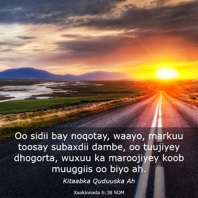 Picture 03 - Xaakinnada 6:38 SOM - Oo sidii bay noqotay, waayo, markuu toosay - Bible Verse Picture