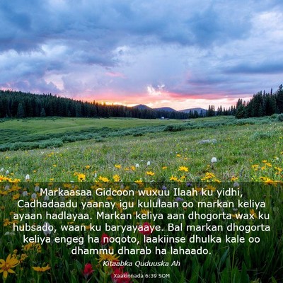 Picture 03 - Xaakinnada 6:39 SOM - Markaasaa Gidcoon wuxuu Ilaah ku yidhi, - Bible Verse Picture
