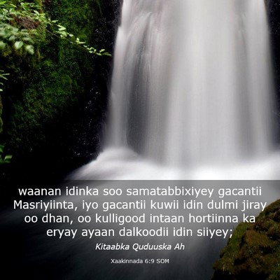 Picture 03 - Xaakinnada 6:9 SOM - waanan idinka soo samatabbixiyey gacantii - Bible Verse Picture