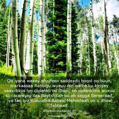 Picture 03 - Xaakinnada 7:22 SOM - Oo iyana waxay afuufeen saddexdii boqol oo buun, - Bible Verse Picture