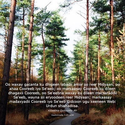 Picture 03 - Xaakinnada 7:25 SOM - Oo waxay gacanta ku dhigeen labadii amiir oo reer - Bible Verse Picture