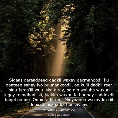 Picture 03 - Xaakinnada 7:8 SOM - Sidaas daraaddeed dadkii waxay gacmahoodii ku - Bible Verse Picture