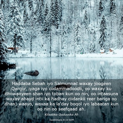 Picture 03 - Xaakinnada 8:10 SOM - Haddaba Sebah iyo Salmunnac waxay joogeen Qarqor, - Bible Verse Picture
