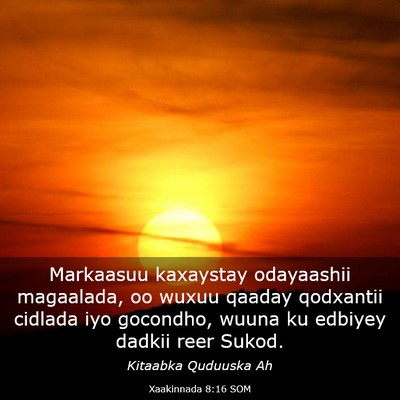 Picture 03 - Xaakinnada 8:16 SOM - Markaasuu kaxaystay odayaashii magaalada, oo - Bible Verse Picture