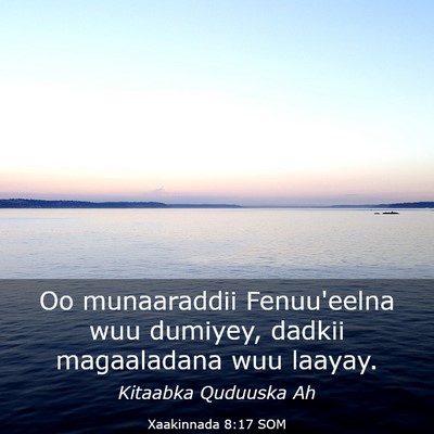 Picture 03 - Xaakinnada 8:17 SOM - Oo munaaraddii Fenuu'eelna wuu dumiyey, dadkii - Bible Verse Picture