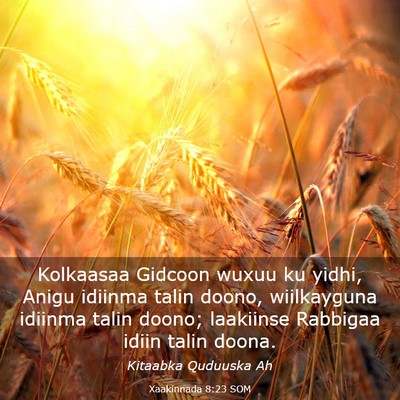 Picture 03 - Xaakinnada 8:23 SOM - Kolkaasaa Gidcoon wuxuu ku yidhi, Anigu idiinma - Bible Verse Picture