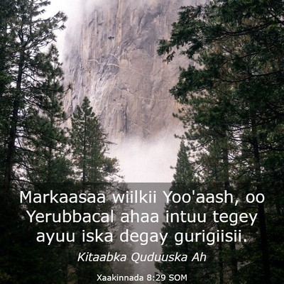 Picture 03 - Xaakinnada 8:29 SOM - Markaasaa wiilkii Yoo'aash, oo Yerubbacal ahaa - Bible Verse Picture