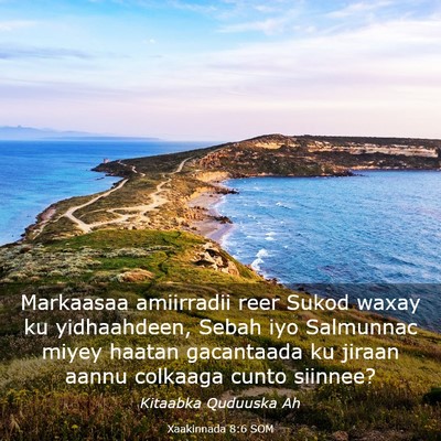 Picture 03 - Xaakinnada 8:6 SOM - Markaasaa amiirradii reer Sukod waxay ku - Bible Verse Picture