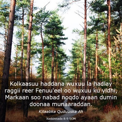 Picture 03 - Xaakinnada 8:9 SOM - Kolkaasuu haddana wuxuu la hadlay raggii reer - Bible Verse Picture