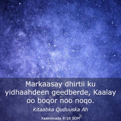 Picture 03 - Xaakinnada 9:10 SOM - Markaasay dhirtii ku yidhaahdeen geedberde, - Bible Verse Picture
