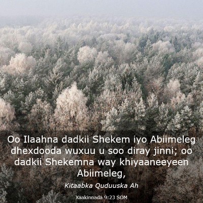 Picture 03 - Xaakinnada 9:23 SOM - Oo Ilaahna dadkii Shekem iyo Abiimeleg dhexdooda - Bible Verse Picture