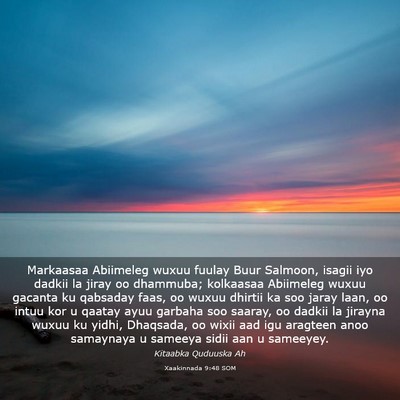 Picture 03 - Xaakinnada 9:48 SOM - Markaasaa Abiimeleg wuxuu fuulay Buur Salmoon, - Bible Verse Picture
