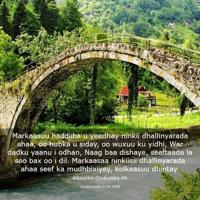 Picture 03 - Xaakinnada 9:54 SOM - Markaasuu haddiiba u yeedhay ninkii dhallinyarada - Bible Verse Picture