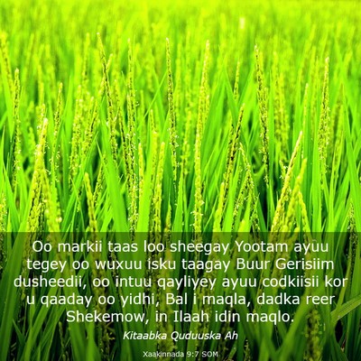 Picture 03 - Xaakinnada 9:7 SOM - Oo markii taas loo sheegay Yootam ayuu tegey oo - Bible Verse Picture