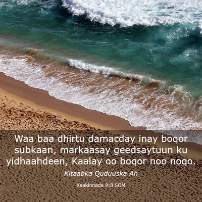Picture 03 - Xaakinnada 9:8 SOM - Waa baa dhirtu damacday inay boqor subkaan, - Bible Verse Picture
