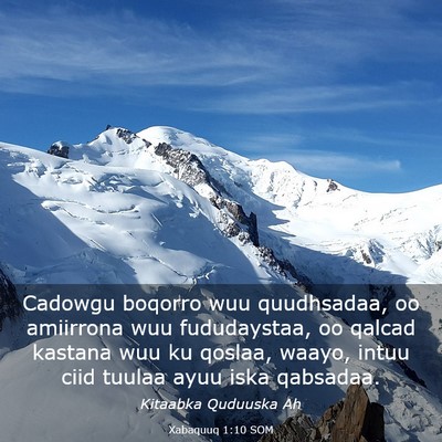 Picture 03 - Xabaquuq 1:10 SOM - Cadowgu boqorro wuu quudhsadaa, oo amiirrona wuu - Bible Verse Picture