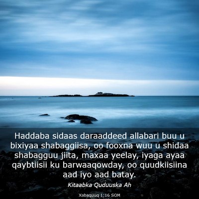 Picture 03 - Xabaquuq 1:16 SOM - Haddaba sidaas daraaddeed allabari buu u bixiyaa - Bible Verse Picture