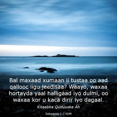 Picture 03 - Xabaquuq 1:3 SOM - Bal maxaad xumaan ii tustaa oo aad qallooc iigu - Bible Verse Picture