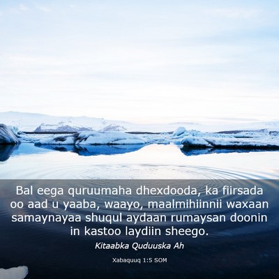 Picture 03 - Xabaquuq 1:5 SOM - Bal eega quruumaha dhexdooda, ka fiirsada oo aad - Bible Verse Picture
