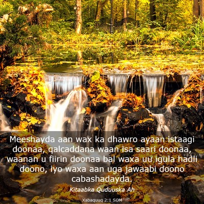 Picture 03 - Xabaquuq 2:1 SOM - Meeshayda aan wax ka dhawro ayaan istaagi doonaa, - Bible Verse Picture