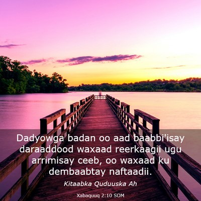 Picture 03 - Xabaquuq 2:10 SOM - Dadyowga badan oo aad baabbi'isay daraaddood - Bible Verse Picture