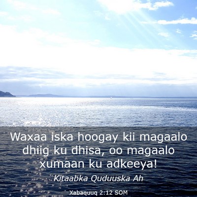Picture 03 - Xabaquuq 2:12 SOM - Waxaa iska hoogay kii magaalo dhiig ku dhisa, oo - Bible Verse Picture