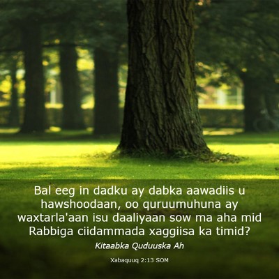 Picture 03 - Xabaquuq 2:13 SOM - Bal eeg in dadku ay dabka aawadiis u hawshoodaan, - Bible Verse Picture