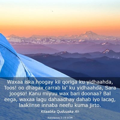 Picture 03 - Xabaquuq 2:19 SOM - Waxaa iska hoogay kii qoriga ku yidhaahda, Toos! - Bible Verse Picture