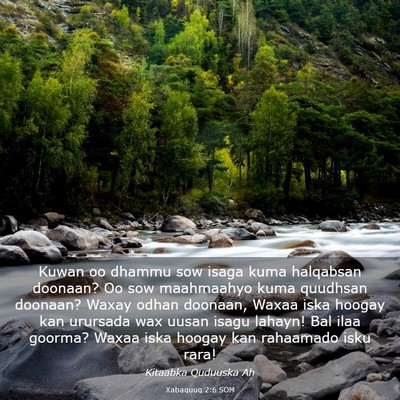 Picture 03 - Xabaquuq 2:6 SOM - Kuwan oo dhammu sow isaga kuma halqabsan doonaan? - Bible Verse Picture