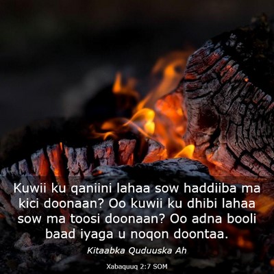 Picture 03 - Xabaquuq 2:7 SOM - Kuwii ku qaniini lahaa sow haddiiba ma kici - Bible Verse Picture