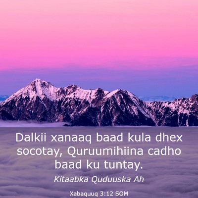 Picture 03 - Xabaquuq 3:12 SOM - Dalkii xanaaq baad kula dhex socotay, - Bible Verse Picture