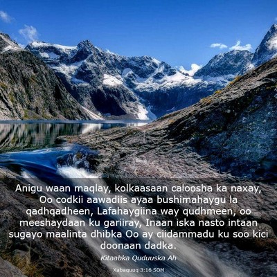 Picture 03 - Xabaquuq 3:16 SOM - Anigu waan maqlay, kolkaasaan caloosha ka naxay, - Bible Verse Picture