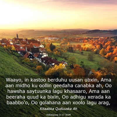 Picture 03 - Xabaquuq 3:17 SOM - Waayo, in kastoo berduhu uusan ubxin, Ama aan - Bible Verse Picture