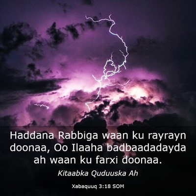 Picture 03 - Xabaquuq 3:18 SOM - Haddana Rabbiga waan ku rayrayn doonaa, Oo Ilaaha - Bible Verse Picture