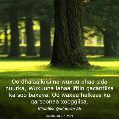 Picture 03 - Xabaquuq 3:4 SOM - Oo dhalaalkiisiina wuxuu ahaa sida nuurka, - Bible Verse Picture