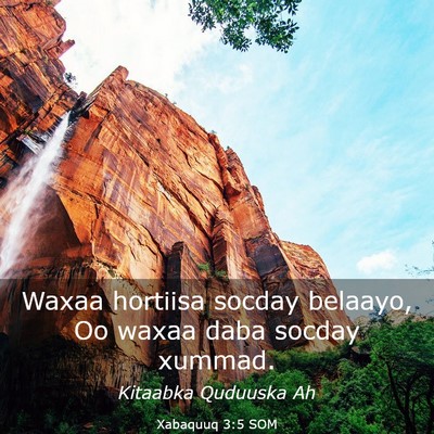 Picture 03 - Xabaquuq 3:5 SOM - Waxaa hortiisa socday belaayo, Oo waxaa daba - Bible Verse Picture