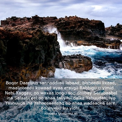 Picture 03 - Xaggay 1:1 SOM - Boqor Daariyus sannaddiisii labaad, bisheedii - Bible Verse Picture